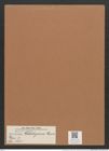 Navicula kotschyana Grun. (de-Toni-Nr.: Genus 1, Species 465) Zeichnungen Sammlung Grunow Mappe 00411 (Herbarium_W_Grunow_drawings_Folder_00411)